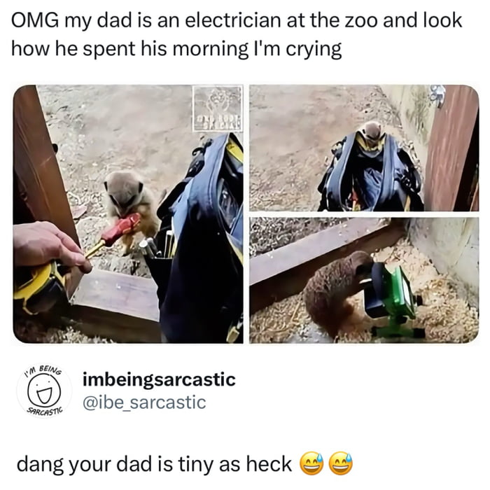 OMG my dad is an electrician at the zoo and look how he spent his morning I'm crying. I'M BEING SARCASTIC imbeingsarcastic @ibe_sarcastic dang your dad is tiny as heck 😂😅