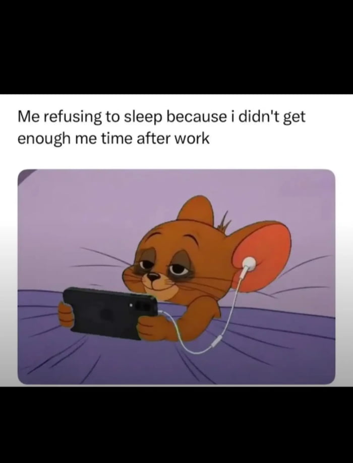 Me refusing to sleep because I didn't get enough me time after work