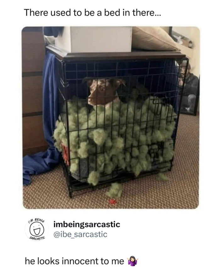 There used to be a bed in there... he looks innocent to me 🤷‍♀️