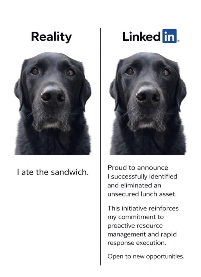 Reality I ate the sandwich. LinkedIn Proud to announce I successfully identified and eliminated an unsecured lunch asset. This initiative reinforces my commitment to proactive resource management and rapid response execution. Open to new opportunities.