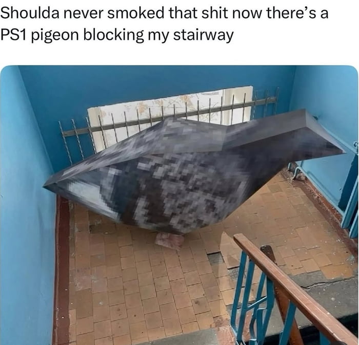 Shoulda never smoked that shit now there's a PS1 pigeon blocking my stairway