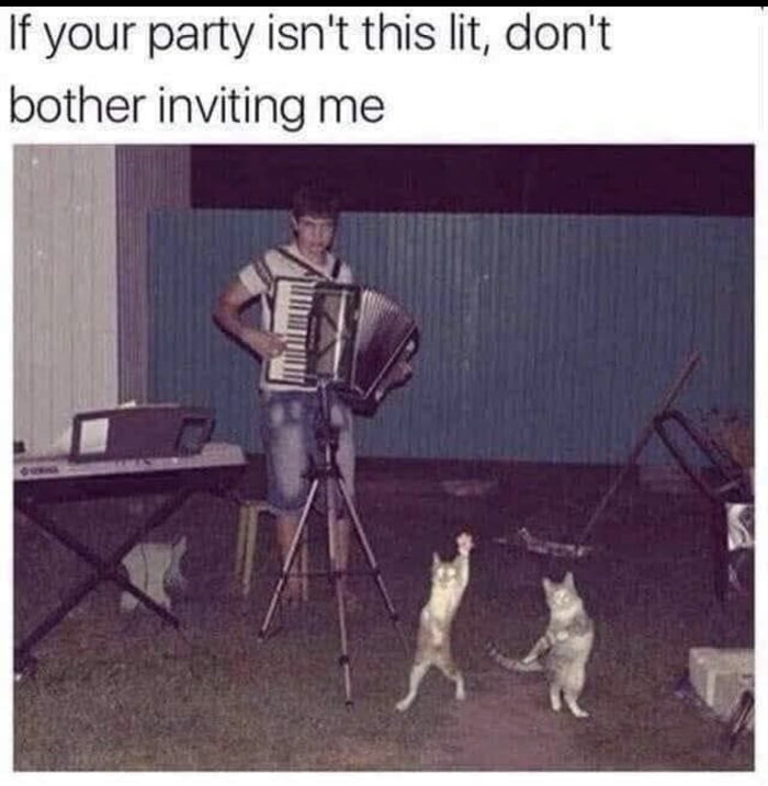 If your party isn't this lit, don't bother inviting me