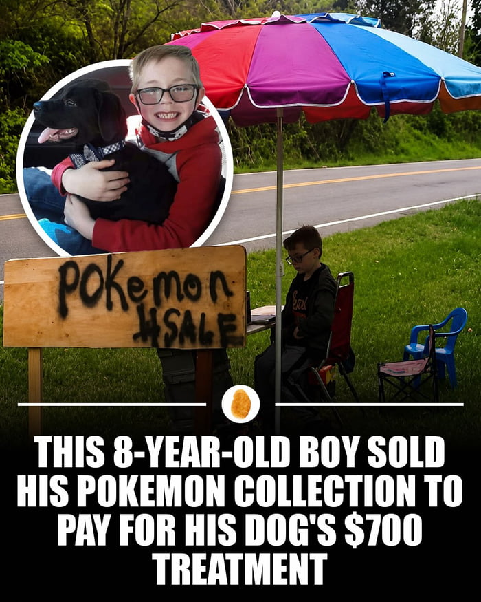 Pokemon SALE. This 8-year-old boy sold his Pokemon collection to pay for his dog's $700 treatment.