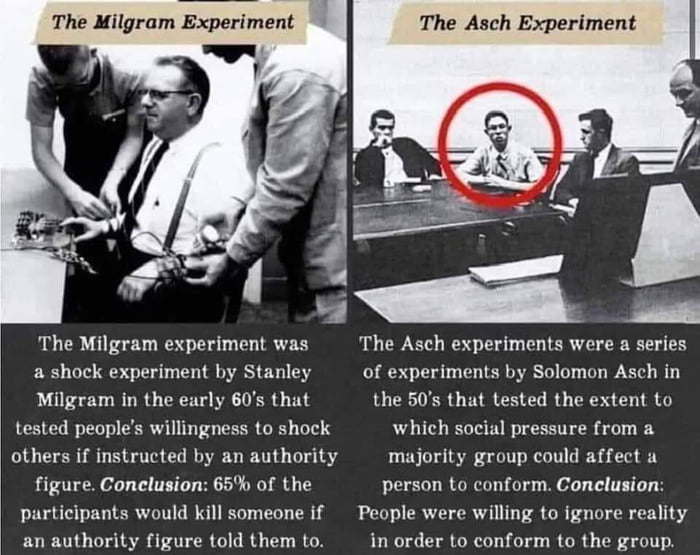 The Milgram Experiment D The Milgram experiment was The Asch experiments were a series a shock experiment by Stanley of experiments by Solomon Asch in Milgram in the early 60s that the 50s that tested the extent to tested peoples willingness to shock which social pressure from a others if instructed by an authority R S figure Conclusion 65 of the person to conform Conelusion participants would kil