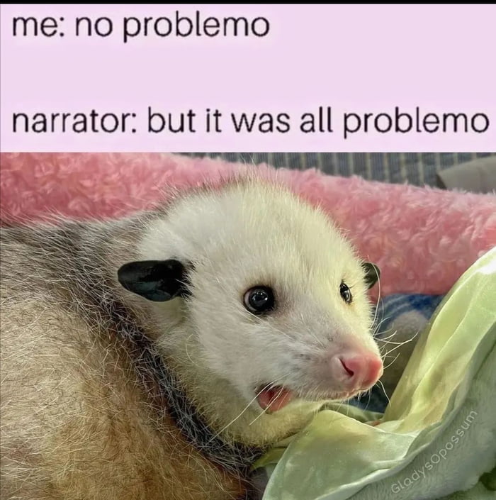 me no problemo narrator but it was all problemo
