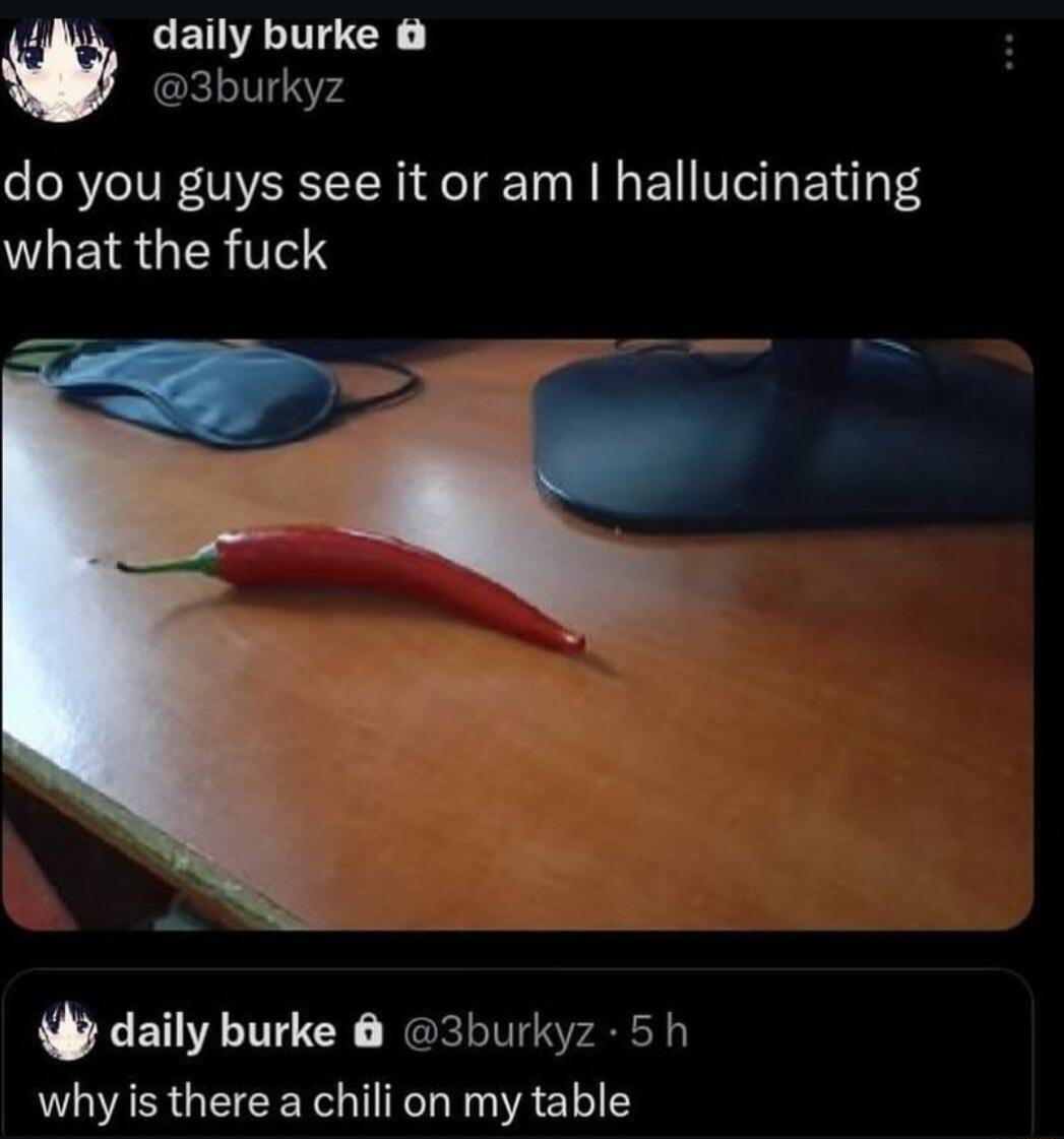 Ay daily burke w 3burkyz do you guys see it or am hallucinating WLEISUERTICI o daily burke 3burkyz 5h why is there a chili on my table