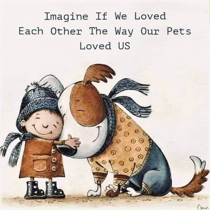 Imagine If We Loved Each Other The Way Our Pets Loved US