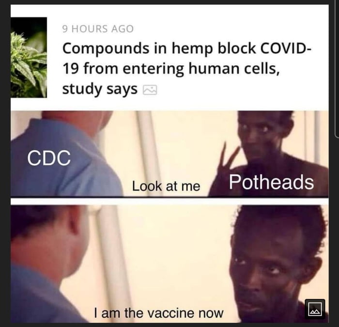 Compounds in hemp block COVID 19 from entering human cells study says Look at me Potheads am the vaccine now