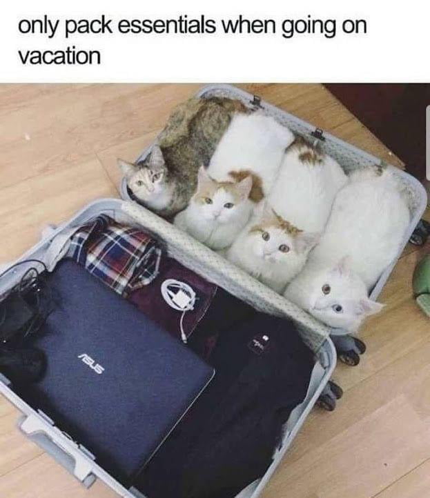 only pack essentials when going on vacation