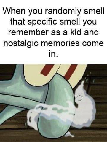 When you randomly smell that specific smell you remember as a kid and nostalgic memories come