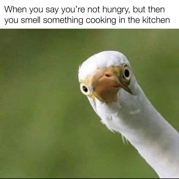 When you say youre not hungry but then you smell something cooking in the kitchen