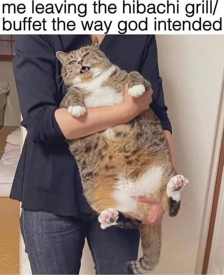 me leaving the hibachi grill buffet the way god intended