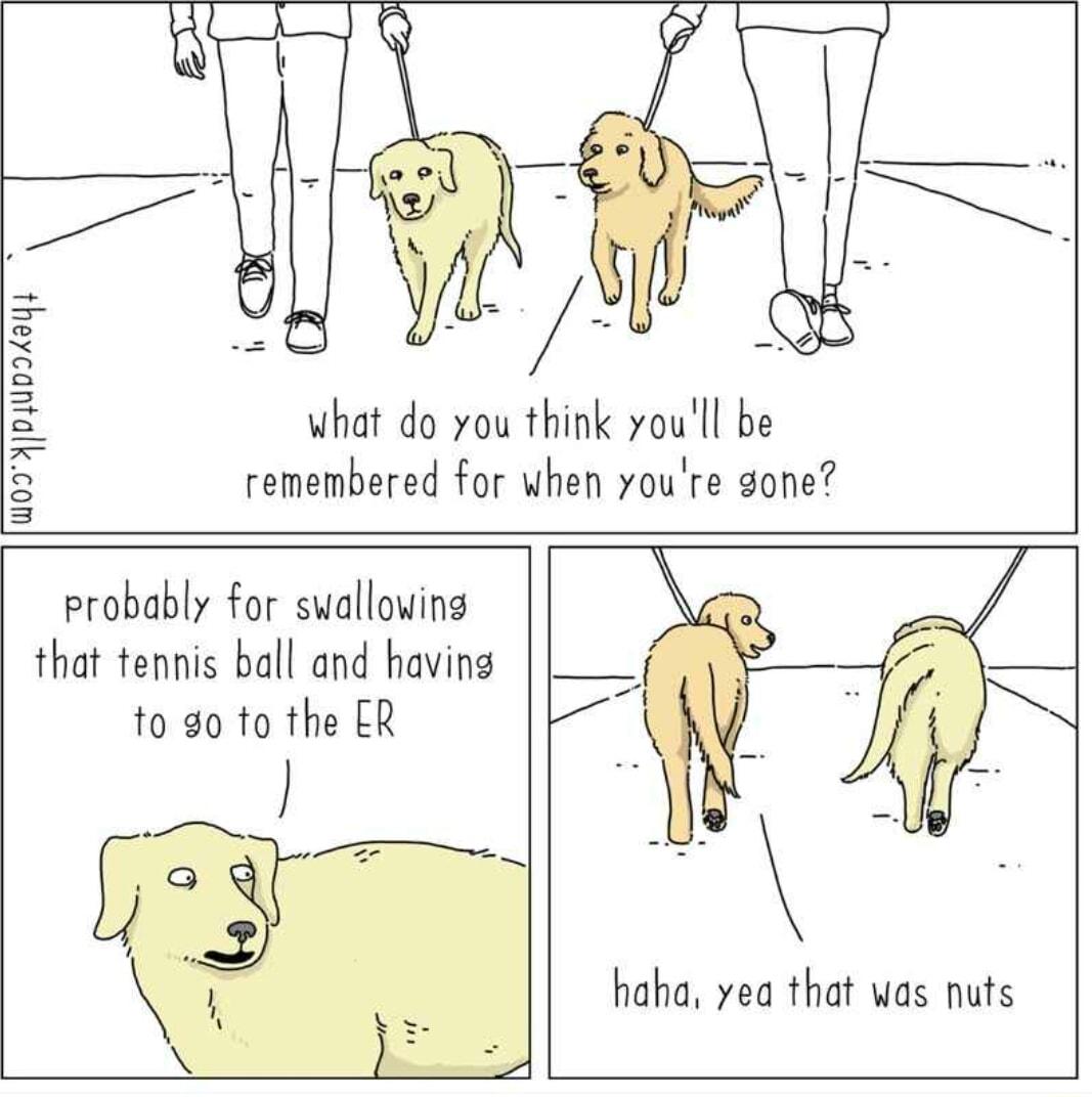 W02DjuD24ay what do you think youll be remenbered for when youre gone probably for swallowing that tennis ball and having to 90 to the ER J haha vea that was nuts