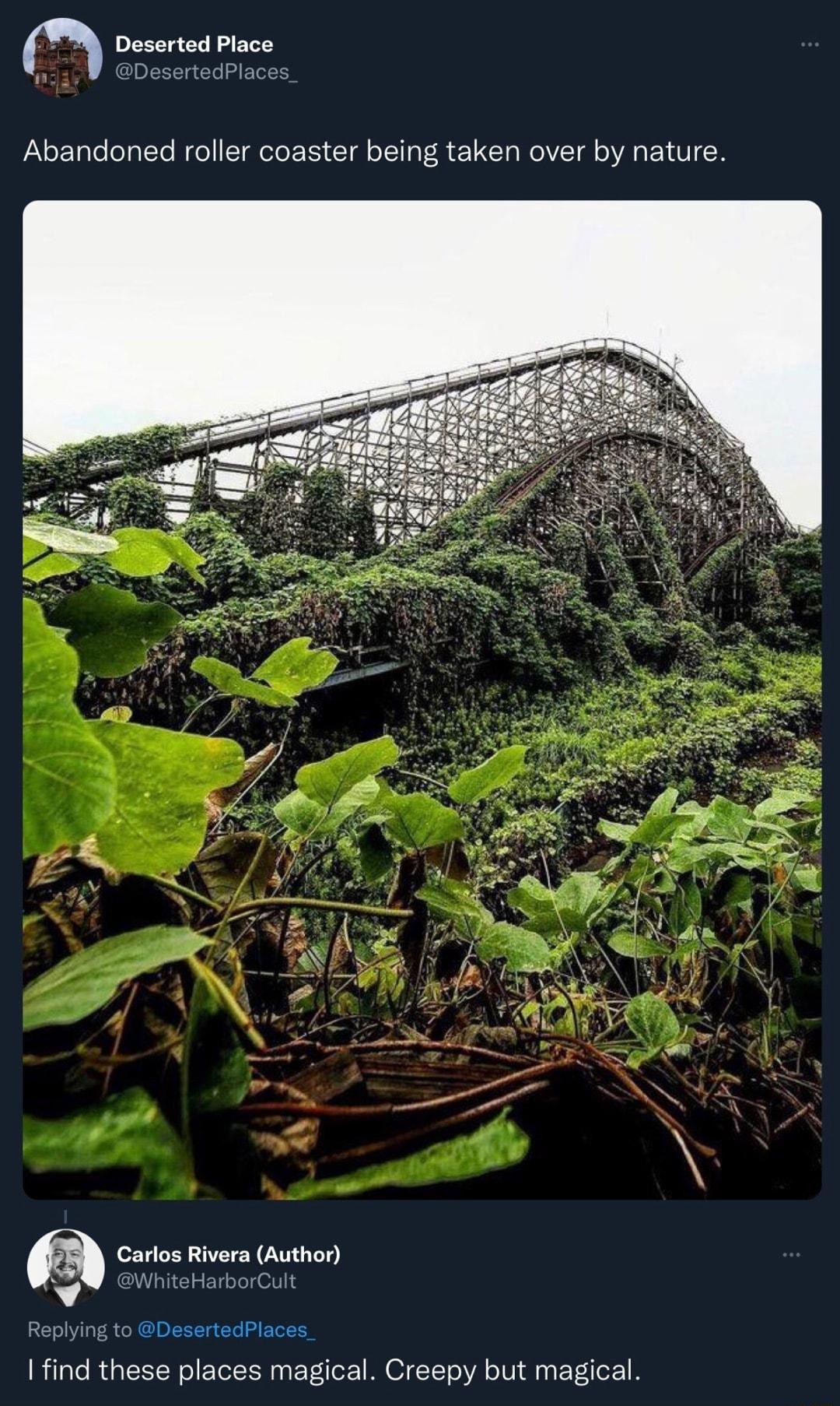 Deserted Place Abandoned roller coaster being taken over by nature Carlos Rivera Author Replying to DesertedPlaces Ifind these places magical Creepy but magical