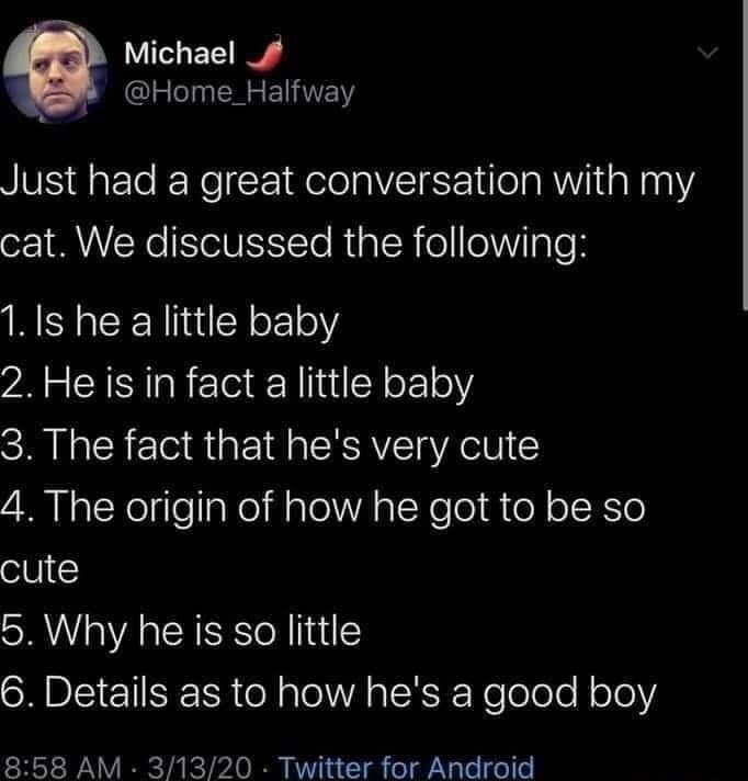 VT EET Home_Halfway Just had a great conversation with my cat We discussed the following 11s he a little baby 2He is in fact a little baby 3 The fact that hes very cute 4 The origin of how he got to be so cute 5 Why he is so little SAPEEISERR o ple WA IX FNeTolelo f o10Y 858 AM 31320 Twitter for Android
