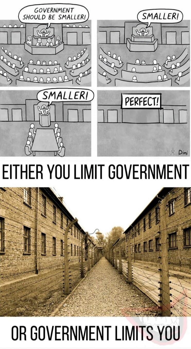 GOVERNMENT SHOULD BE SMALLER! SMALLER! SMALLER! PERFECT! EITHER YOU LIMIT GOVERNMENT OR GOVERNMENT LIMITS YOU.