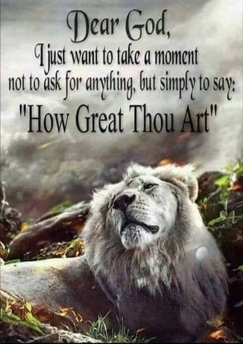 Dear God, I just want to take a moment not to ask for anything, but simply to say: 
