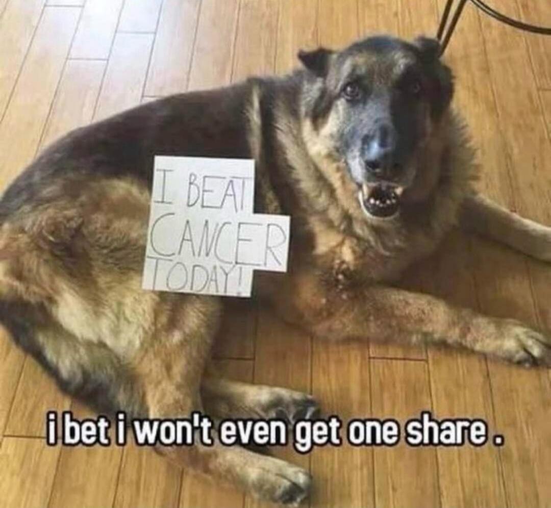 I BEAT CANCER TODAY! i bet i won't even get one share.