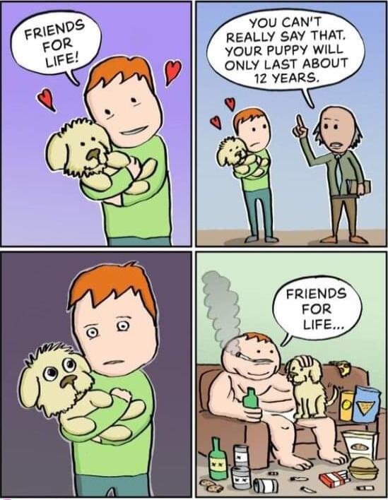 YOU CANT REALLY SAY THAT YOUR PUPPY WILL ONLY LAST ABOUT