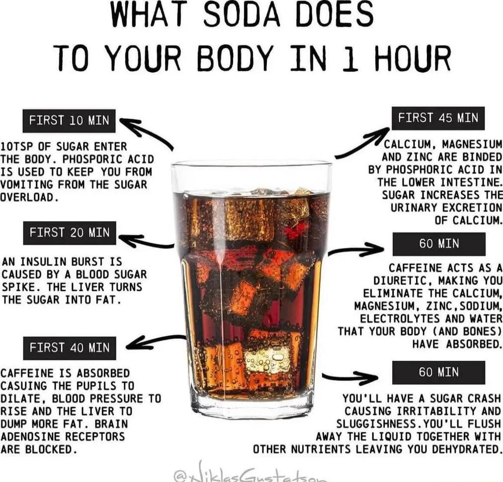 WHAT SODA DOES TO YOUR BODY IN 1 HOUR mEEm 075 0F svouR TER _Aocin wonesiu e T s acto s IS USED TO KEEP YOUFRON BY PHOSPHORIC ACID IN VOMITING FROM THE SUGAR THE LOVER INTESTINE OVERLOAD SUGAR INCREASES THE URINARY EXCRETION OF CALCTUM EISENID AN INSULIN BURST 1S CAUSED BY A BLOOD SUGAR SPIKE THE LIVER TURNS THE SUGAR INTO FAT I CAFFEINE ACTS AS A DIURETIC MAKING YOU ELIMINATE THE CALCIUM MAGNESIU