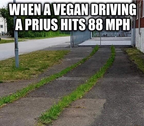 WHEN A VEGAN DRIVING A PRIUS HITS 88 MPH