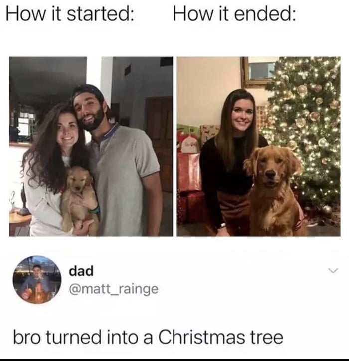 How it started How it ended dad matt_rainge bro turned into a Christmas tree