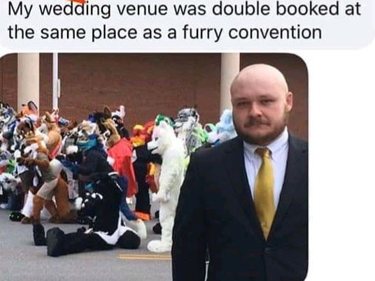 My weading venue was double booked at the same place as a furry convention