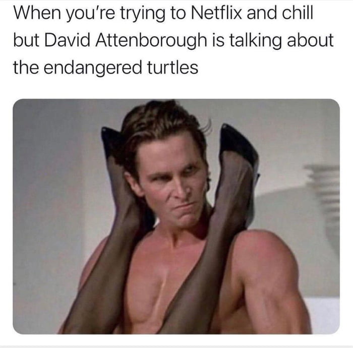 When youre trying to Netflix and chill but David Attenborough is talking about the endangered turtles