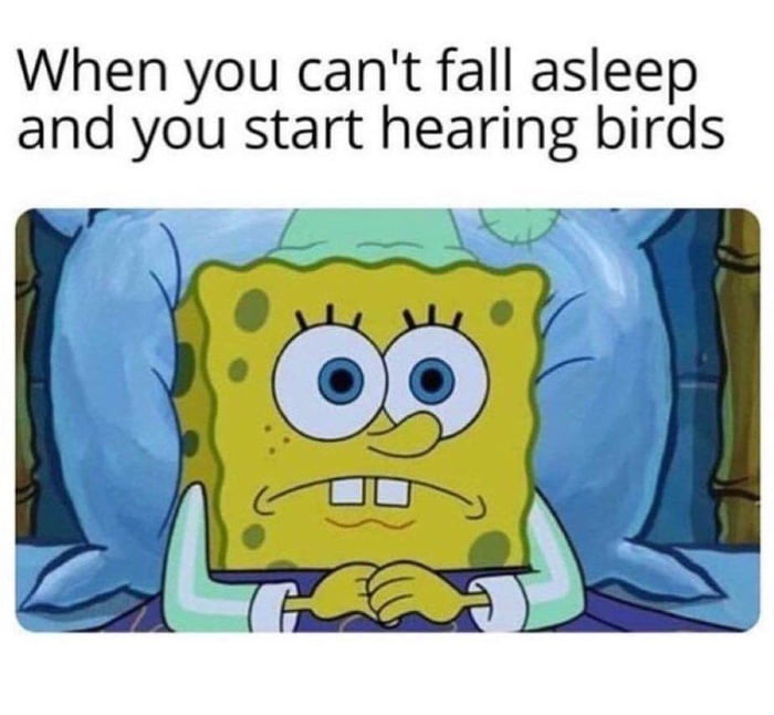 When you cant fall asleep and you start hearing birds et