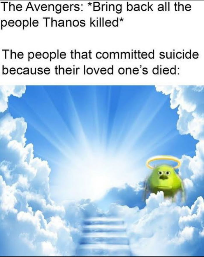 The Avengers Bring back all the people Thanos killed The people that committed suicide because their loved ones died 455