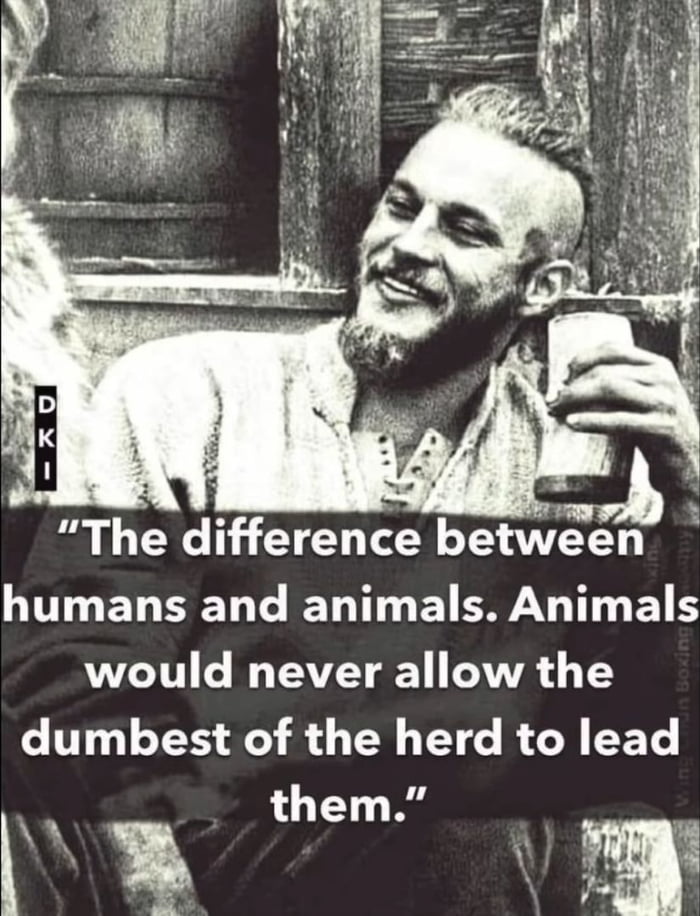 e e A e i i P E s e The difference between humans and animals Animals YT e N U AU dumbest of the herd to lead them 3 R