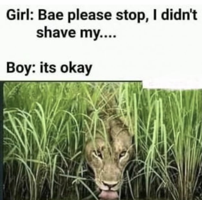 Girl Bae please stop didnt shave my