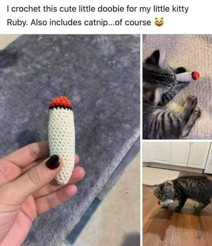 crochet this cute little doobie for my little kitty Ruby Also includes catnipof course