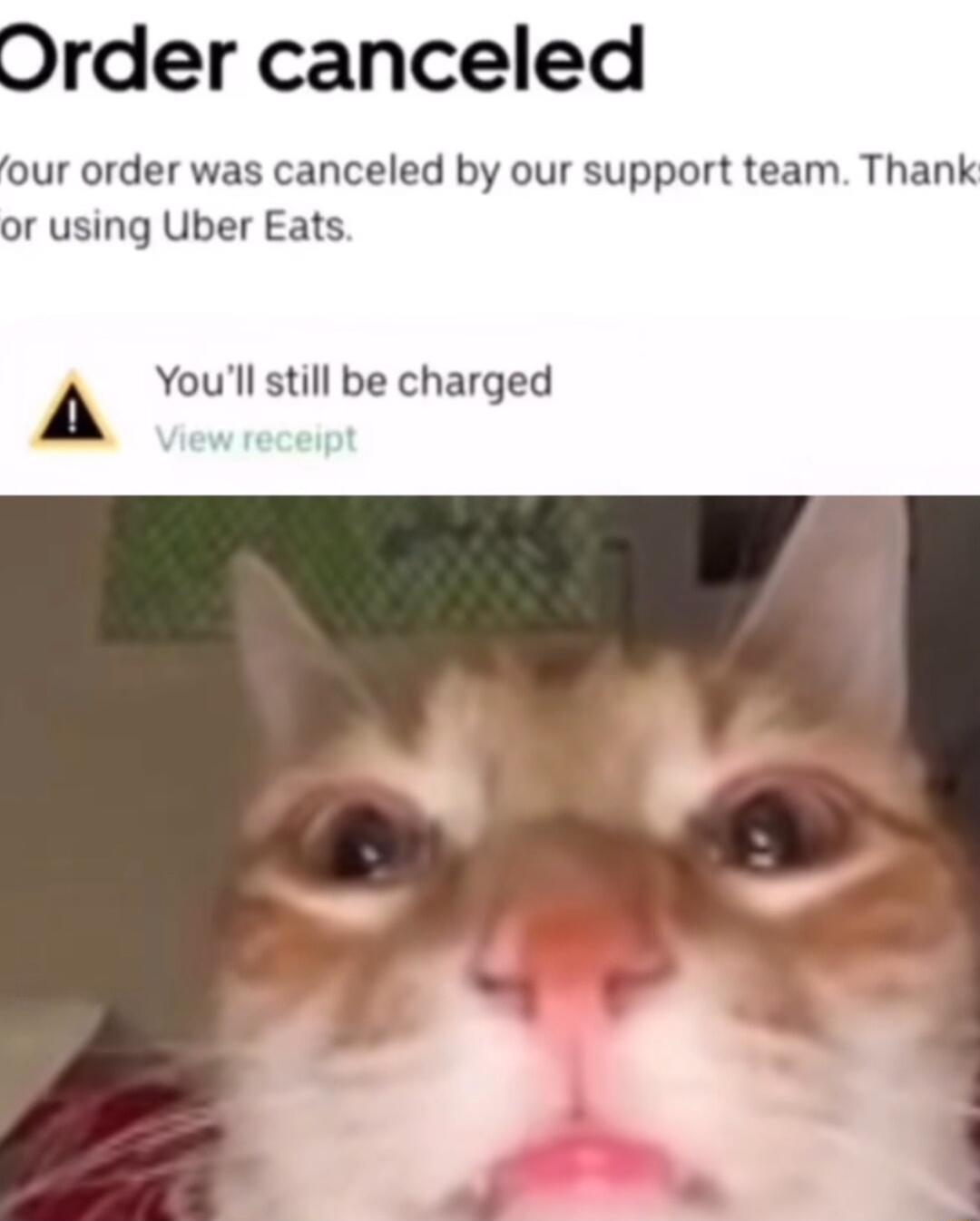 Order canceled our order was canceled by our support team Thank or using Uber Eats A Youll still be charged