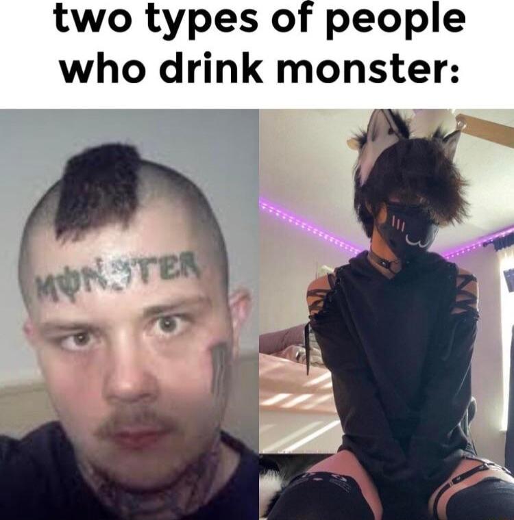 two types of people who drink monster