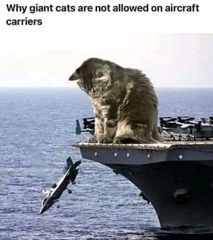 Why giant cats are not allowed on aircraft carriers