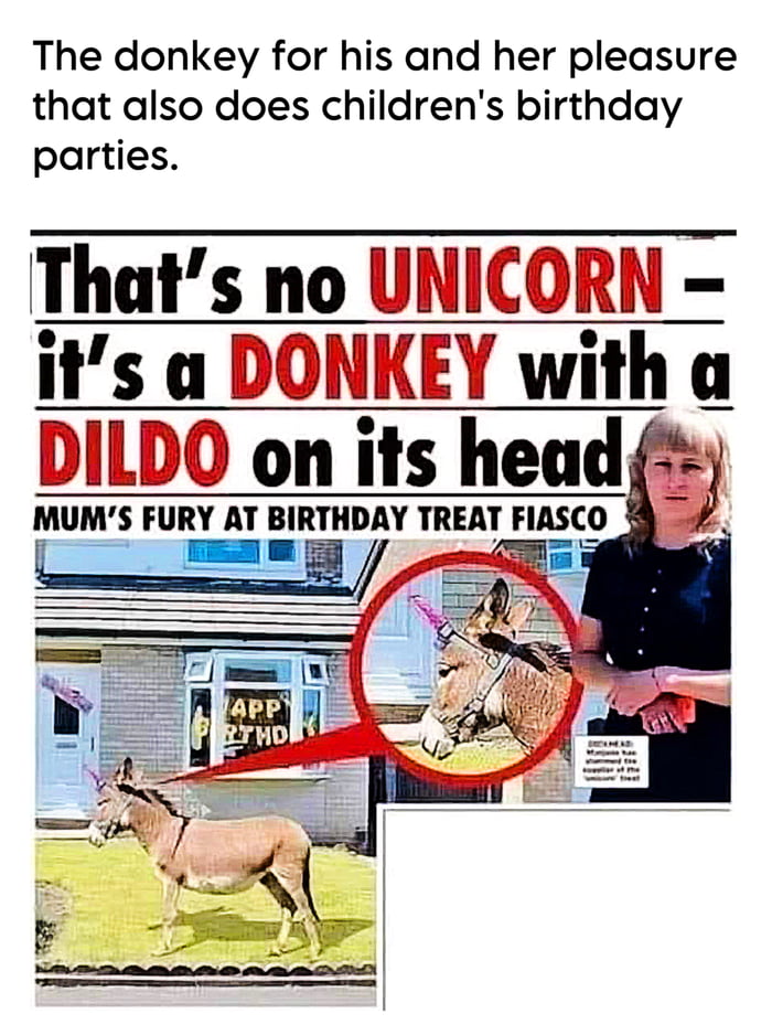 The donkey for his and her pleasure that also does childrens birthday parties