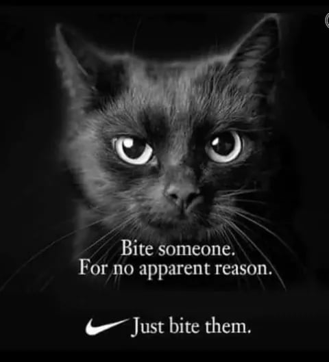 Bite someone For no apparent reason Just bite them