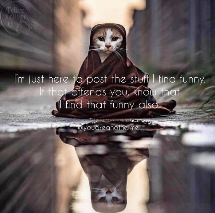 ypost the stufiglfind funny Stiends you Knoi z find that funny_al