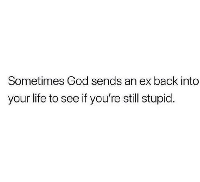 Sometimes God sends an ex back into your life to see if youre still stupid