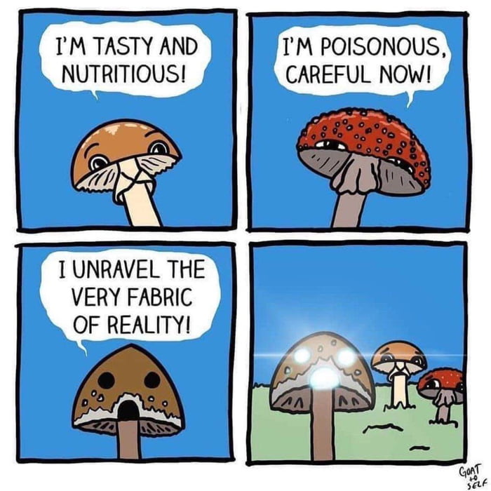 TM TASTY AND TM POISONOUS NUTRITIOUS CAREFUL NOW TUNRAVEL THE VERY FABRIC OF REALITYI