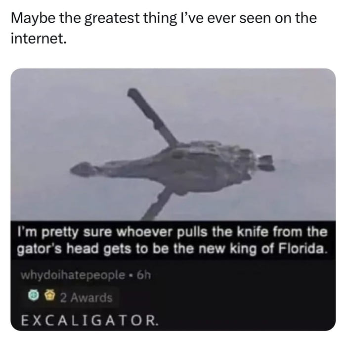 Maybe the greatest thing Ive ever seen on the internet Im pretty sure whoever pulls the knife from the gators head gets to be the new king of Florida L EXCALIGATOR