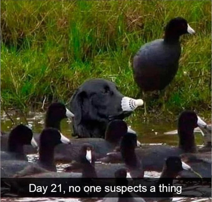 E gl Day 21 no one suspects a thing