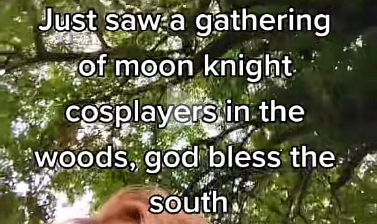 gatht__ering 5h knight o f o playersiinthe ey _ hlss LT hrr L