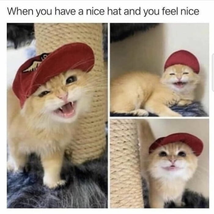 When you have a nice hat and you feel nice