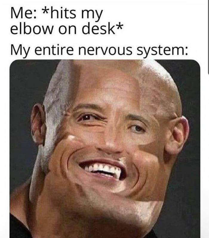 Me: *hits my elbow on desk* My entire nervous system: