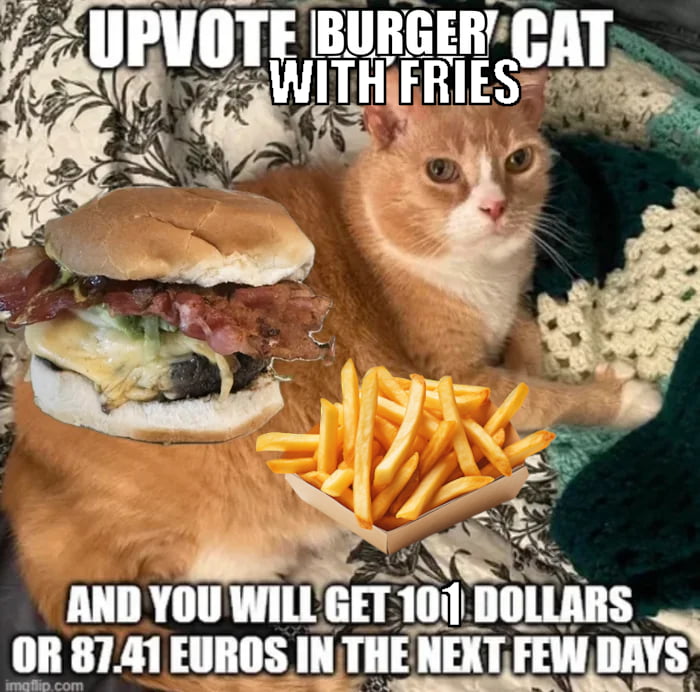 UPVOTE BURGER CAT WITH FRIES AND YOU WILL GET 101 DOLLARS OR 87.41 EUROS IN THE NEXT FEW DAYS