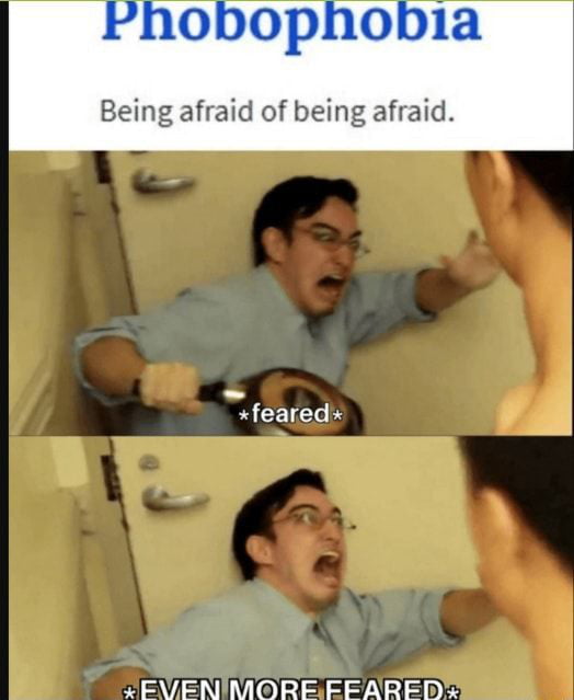 Being afraid of being afraid feared S N VoY 1p