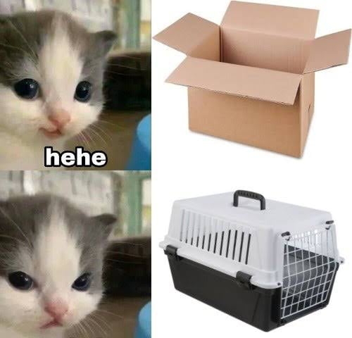 HH