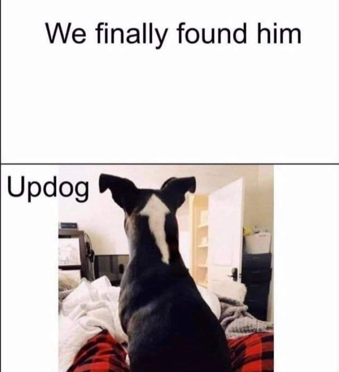 We finally found him